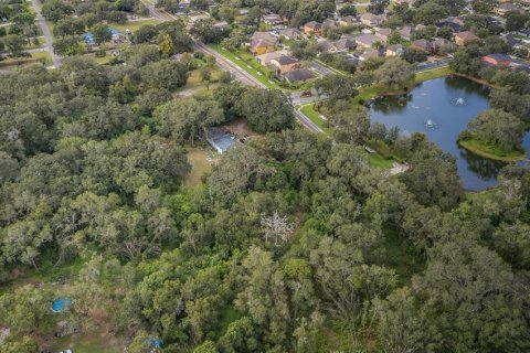 Land in Dover, Florida № 761944 - photo 6