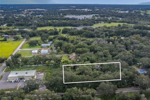 Land in Dover, Florida № 761944 - photo 3