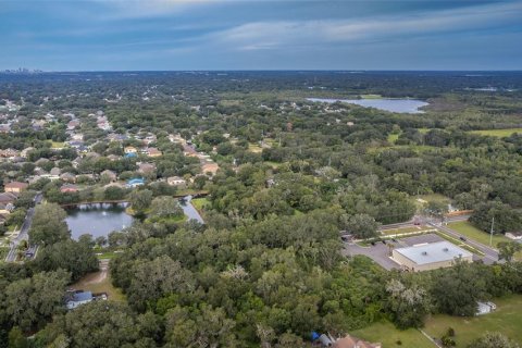 Land in Dover, Florida № 761944 - photo 10