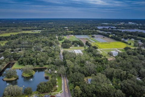 Land in Dover, Florida № 761944 - photo 12