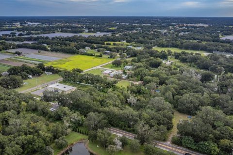 Land in Dover, Florida № 761944 - photo 15