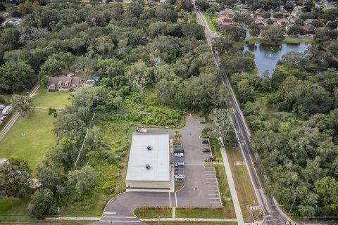Land in Dover, Florida № 761944 - photo 5