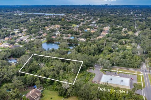 Land in Dover, Florida № 761944 - photo 2