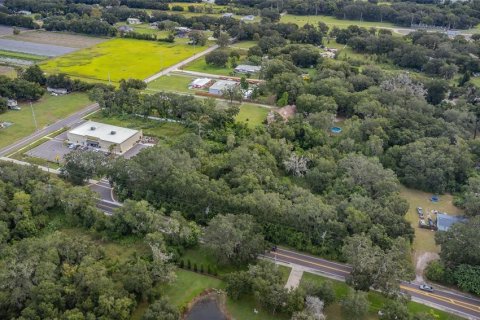 Land in Dover, Florida № 761944 - photo 16