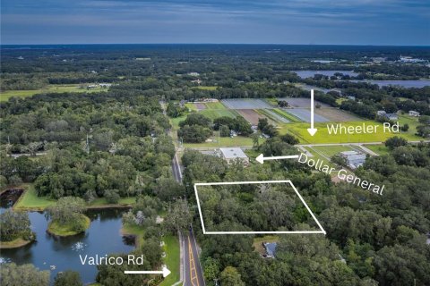 Land in Dover, Florida № 761944 - photo 1