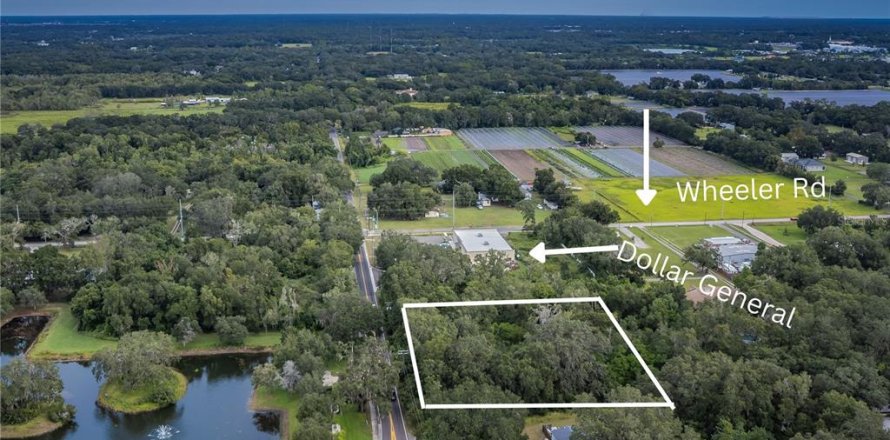 Land in Dover, Florida № 761944