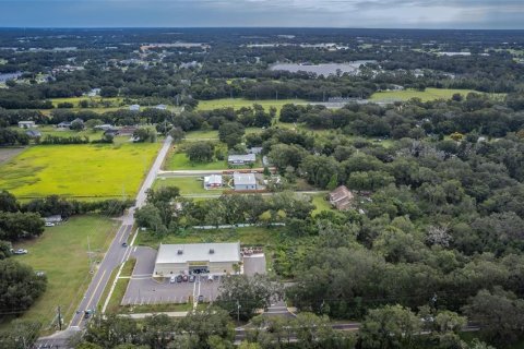 Land in Dover, Florida № 761944 - photo 18