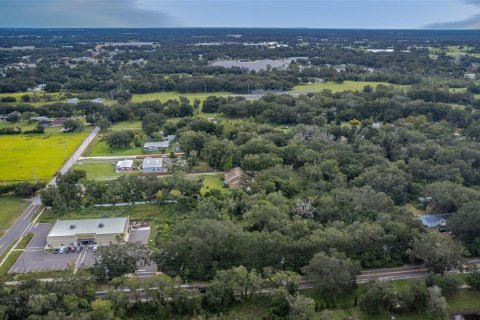Land in Dover, Florida № 761944 - photo 17