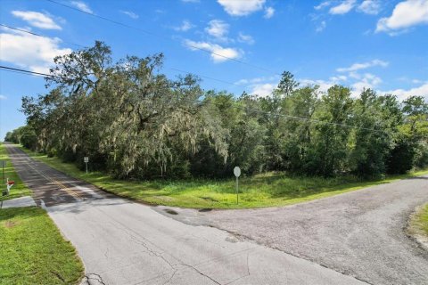Land in Floral City, Florida № 1900517 - photo 11