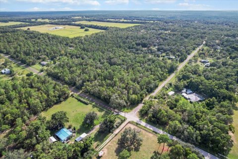 Land in Floral City, Florida № 1900517 - photo 4
