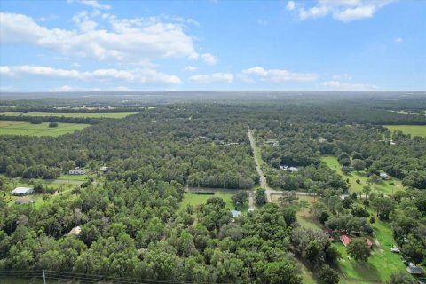 Land in Floral City, Florida № 1900517 - photo 8