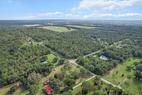 Land in Floral City, Florida № 1900517 - photo 7