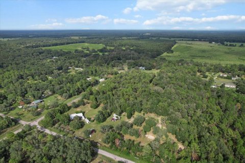 Land in Floral City, Florida № 1900517 - photo 10