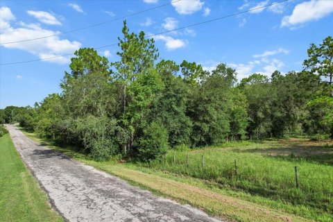 Land in Floral City, Florida № 1900517 - photo 12