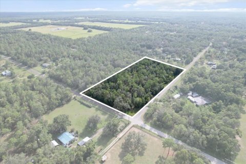 Land in Floral City, Florida № 1900517 - photo 1