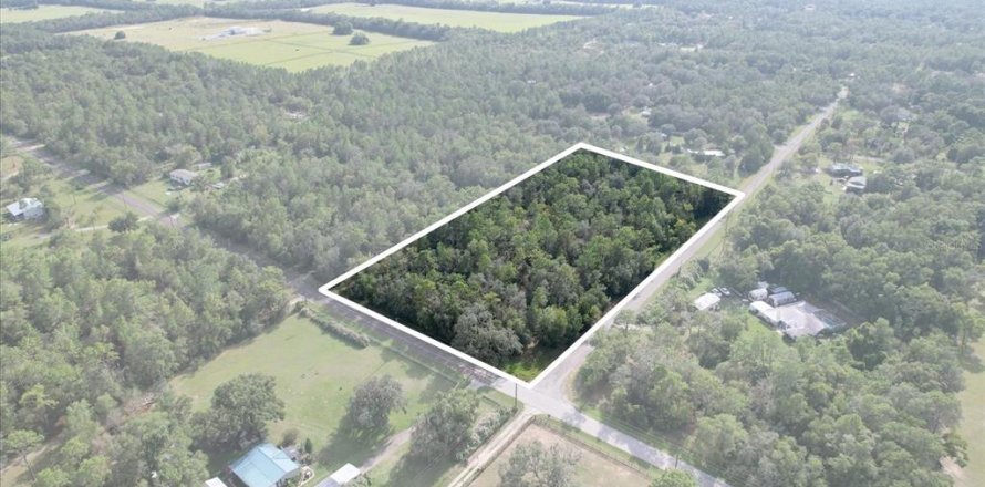 Land in Floral City, Florida № 1900517