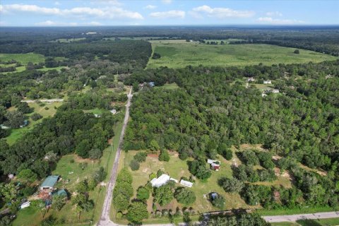 Land in Floral City, Florida № 1900517 - photo 9