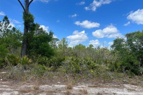 Land in Sebring, Florida № 2163021 - photo 2