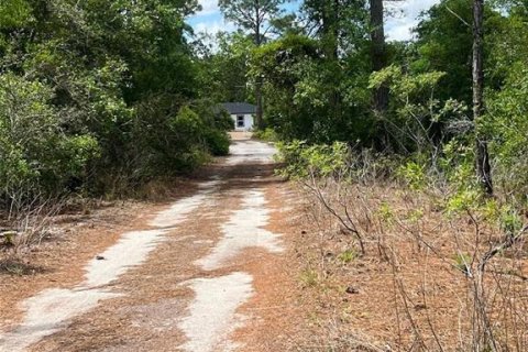 Land in Sebring, Florida № 2163021
