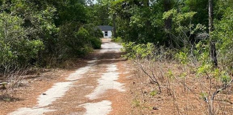 Land in Sebring, Florida № 2163021