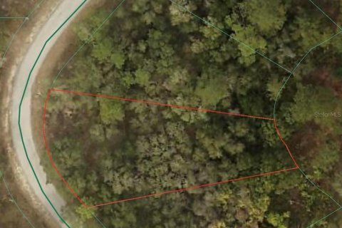 Land in Dunnellon, Florida № 2159751 - photo 3