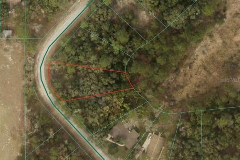 Land in Dunnellon, Florida № 2159751 - photo 2