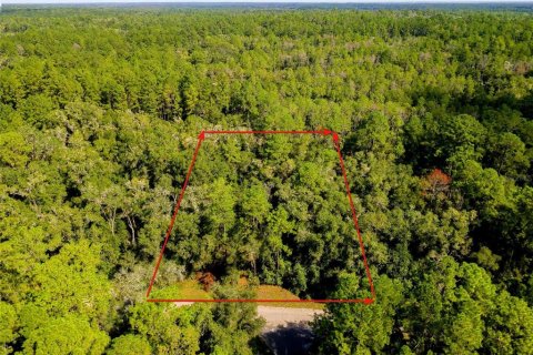 Land in Citrus Springs, Florida № 2366629