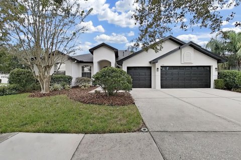 Villa ou maison à Tampa, Floride 5 chambres, 256.78 m2 № 2408127