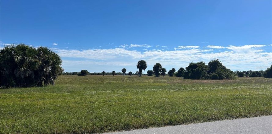 Terrain à Placida, Floride № 2213745