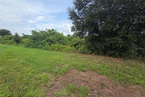 Land in Punta Gorda, Florida № 2291282