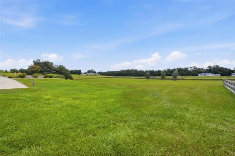 House in Weirsdale, Florida 3 bedrooms, 258.36 sq.m. № 2197692 - photo 6