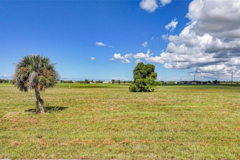 Land in Placida, Florida № 2165009 - photo 5