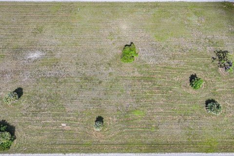 Land in Placida, Florida № 2165009 - photo 6