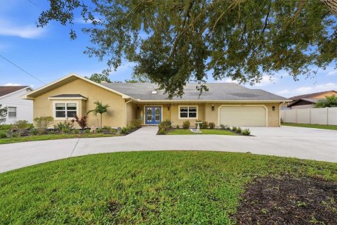 Villa ou maison à Tampa, Floride 5 chambres, 428.37 m2 № 2284523