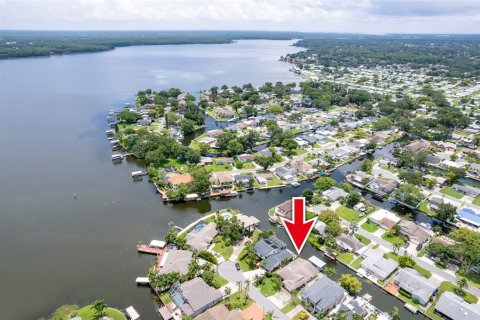 House in Palm Harbor, Florida 3 bedrooms, 153.2 sq.m. № 1848076 - photo 13