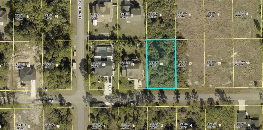 Terreno en Lehigh Acres, Florida № 2171321