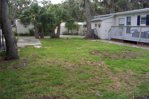 Land in Largo, Florida № 1571068 - photo 4
