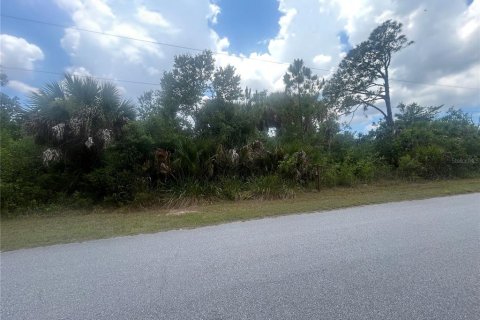 Land in Port Charlotte, Florida № 2205362 - photo 2