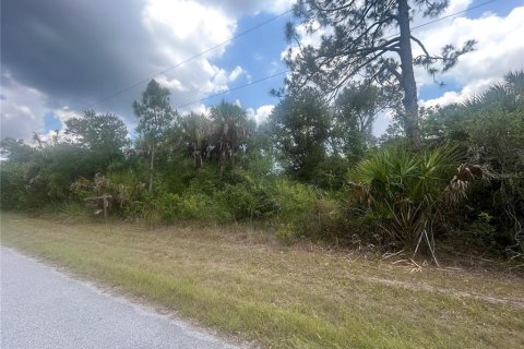 Land in Port Charlotte, Florida № 2205362 - photo 3