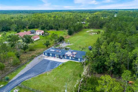 Villa ou maison à vendre à Orlando, Floride: 7 chambres, 421.87 m2 № 2156862 - photo 3