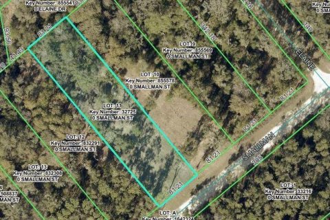 Land in Webster, Florida № 2213689
