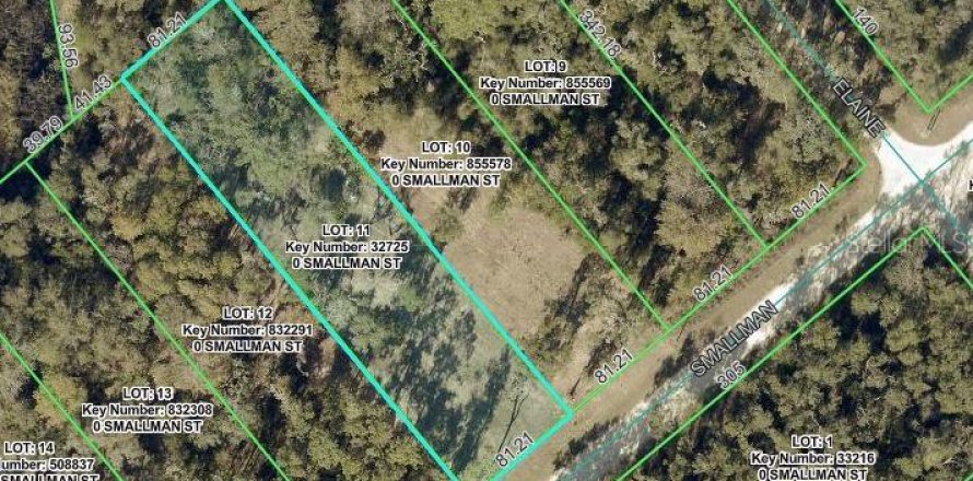 Land in Webster, Florida № 2213689