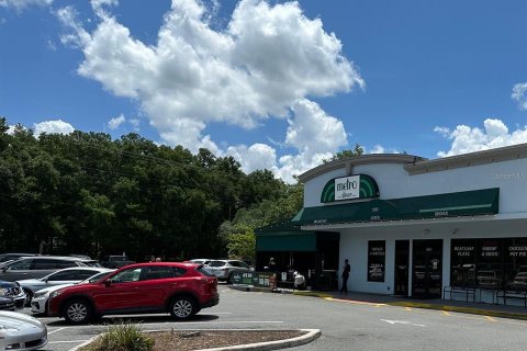 Immobilier commercial à louer à Gainesville, Floride: 7272.67 m2 № 1857802 - photo 2