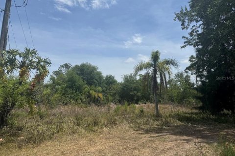 Land in Orlando, Florida № 1741031 - photo 1