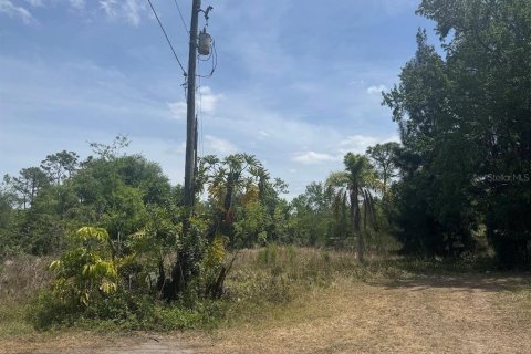 Land in Orlando, Florida № 1741031 - photo 4
