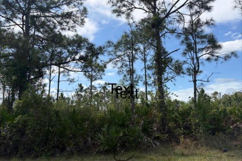 Land in Punta Gorda, Florida № 2165099