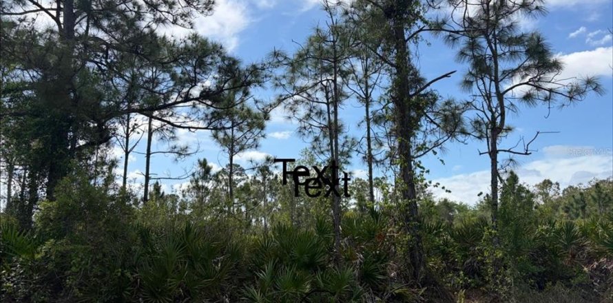 Land in Punta Gorda, Florida № 2165099