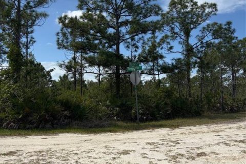 Land in Punta Gorda, Florida № 2165099 - photo 2