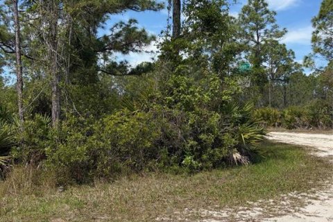 Land in Punta Gorda, Florida № 2165099 - photo 3