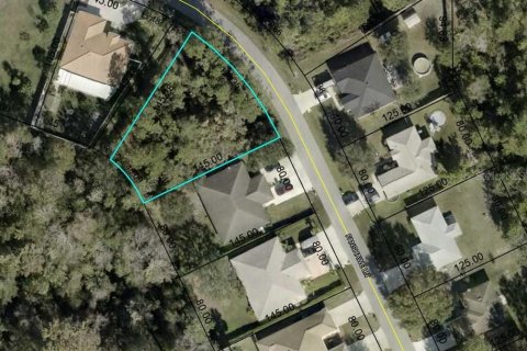 Land in Palm Coast, Florida № 1422008 - photo 1